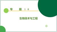 2026届高考生物一轮专题复习:专题10 第4讲 动物细胞工程 课件