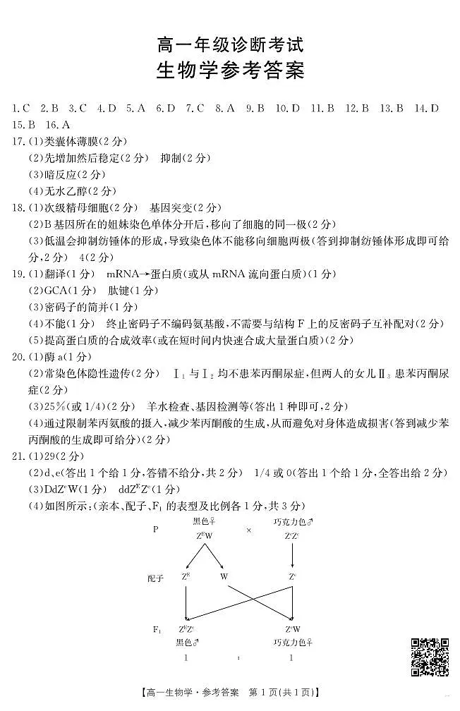 甘肃省武威第六中学2024-2025学年高一下学期期末诊断 生物学答案第1页