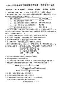 辽宁省五校联考2024-2025学年高一下学期期末考试生物试题（PDF版附答案）