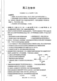 2025届广东省金太阳高三上学期8月联考-生物试题（含答案）
