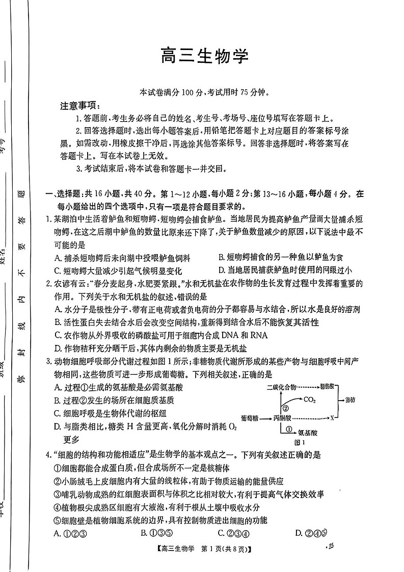 2025届广东省金太阳高三上学期8月联考-生物试题(含答案)第1页