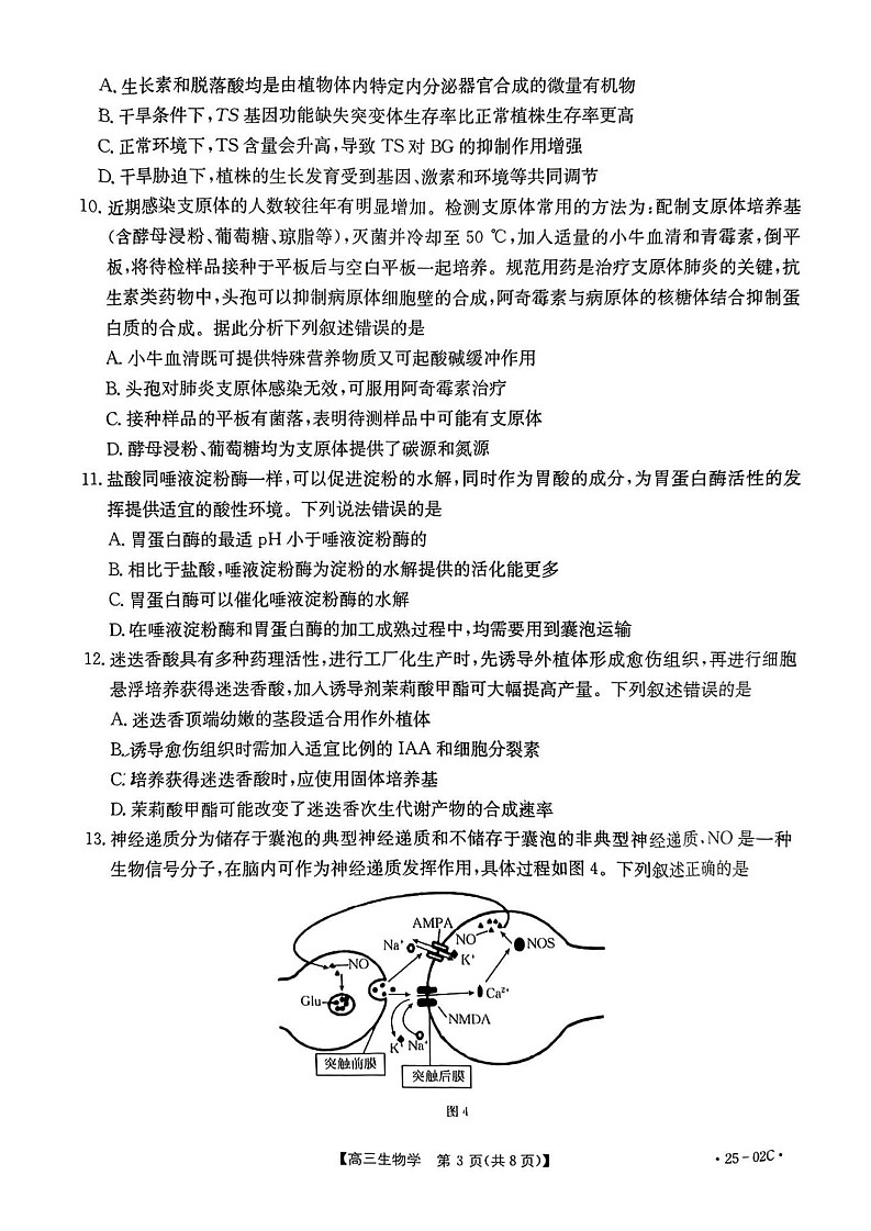 2025届广东省金太阳高三上学期8月联考-生物试题(含答案)第3页