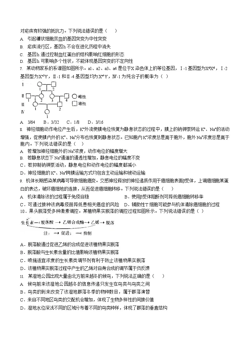 【生物 山东版】2025年普通高等学校招生选择性考试(高考真题)第2页