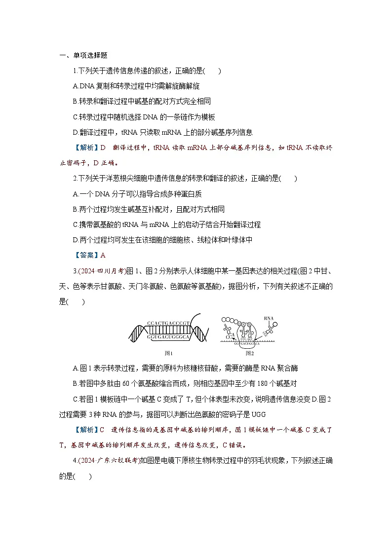 2026届高考生物学一轮专题复习练习:专题6 第3讲 基因的表达 习题及答案解析第1页