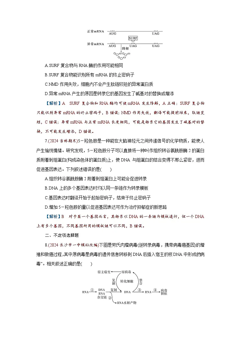 2026届高考生物学一轮专题复习练习:专题6 第3讲 基因的表达 习题及答案解析第3页