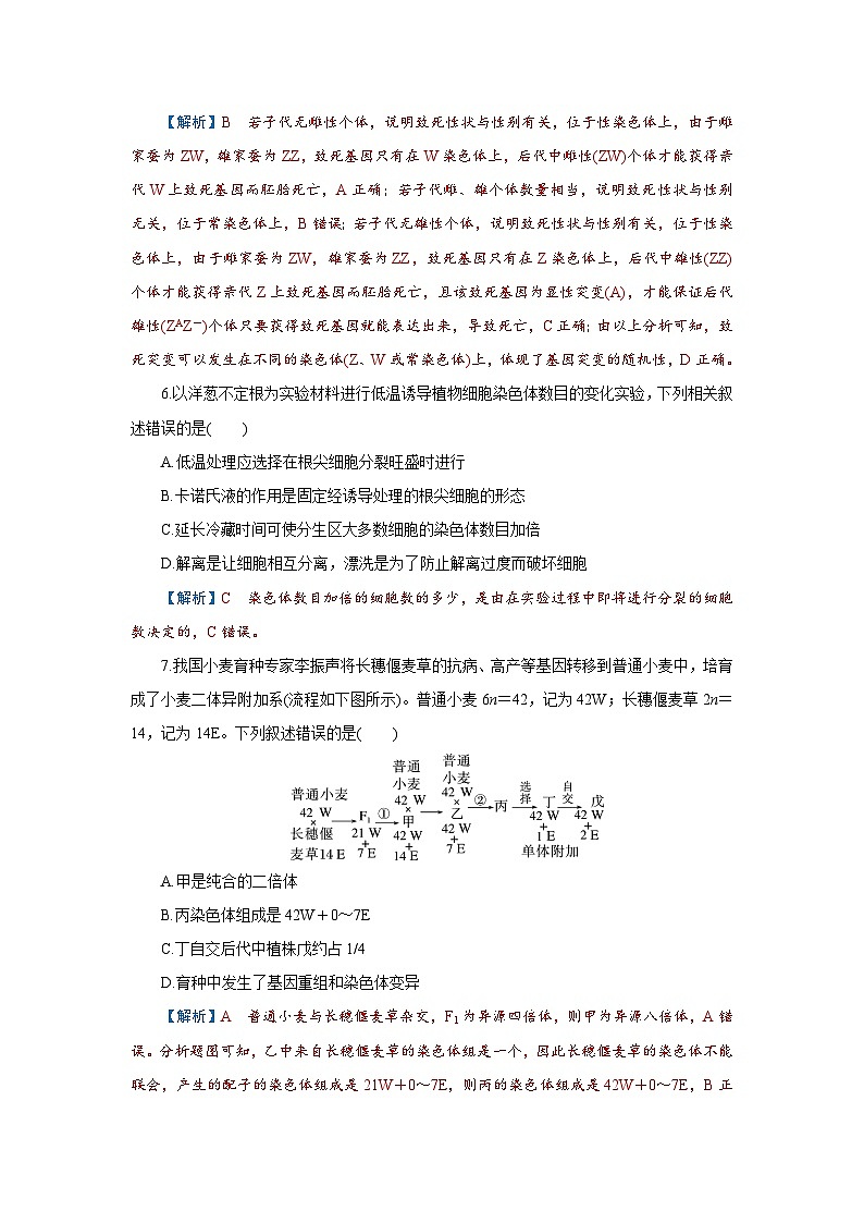 2026届高考生物学一轮专题复习练习:专题7 第1讲 基因突变、基因重组和染色体变异 习题及答案解析第3页