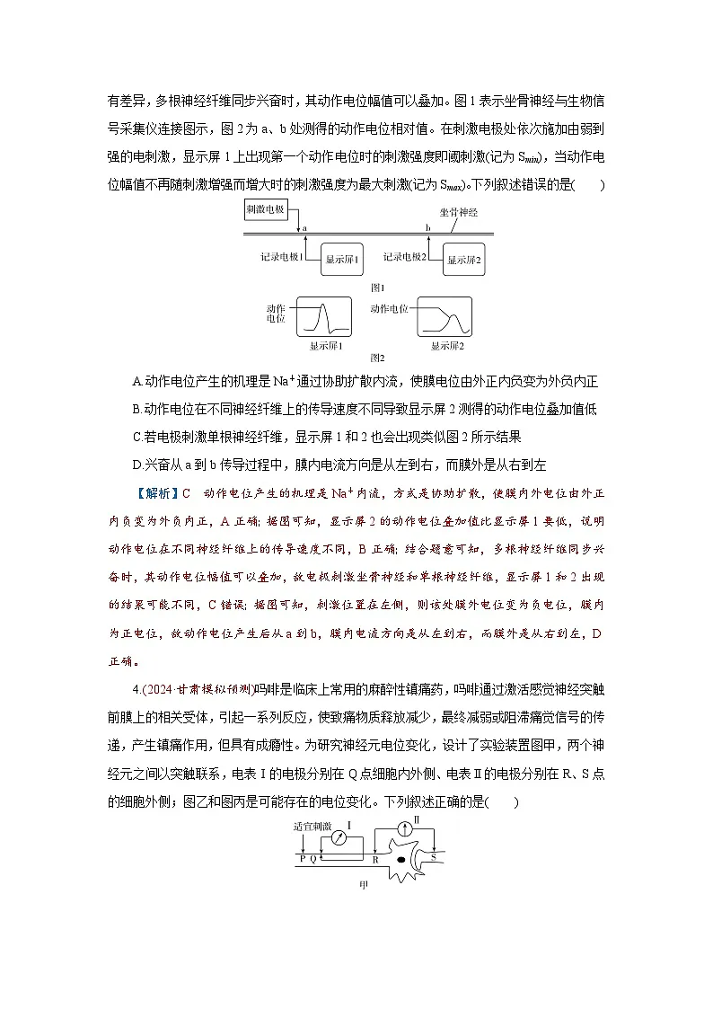 2026届高考生物学一轮专题复习练习:专题8 第3讲 神经调节(二)——神经冲动的产生和 习题及答案解析第2页