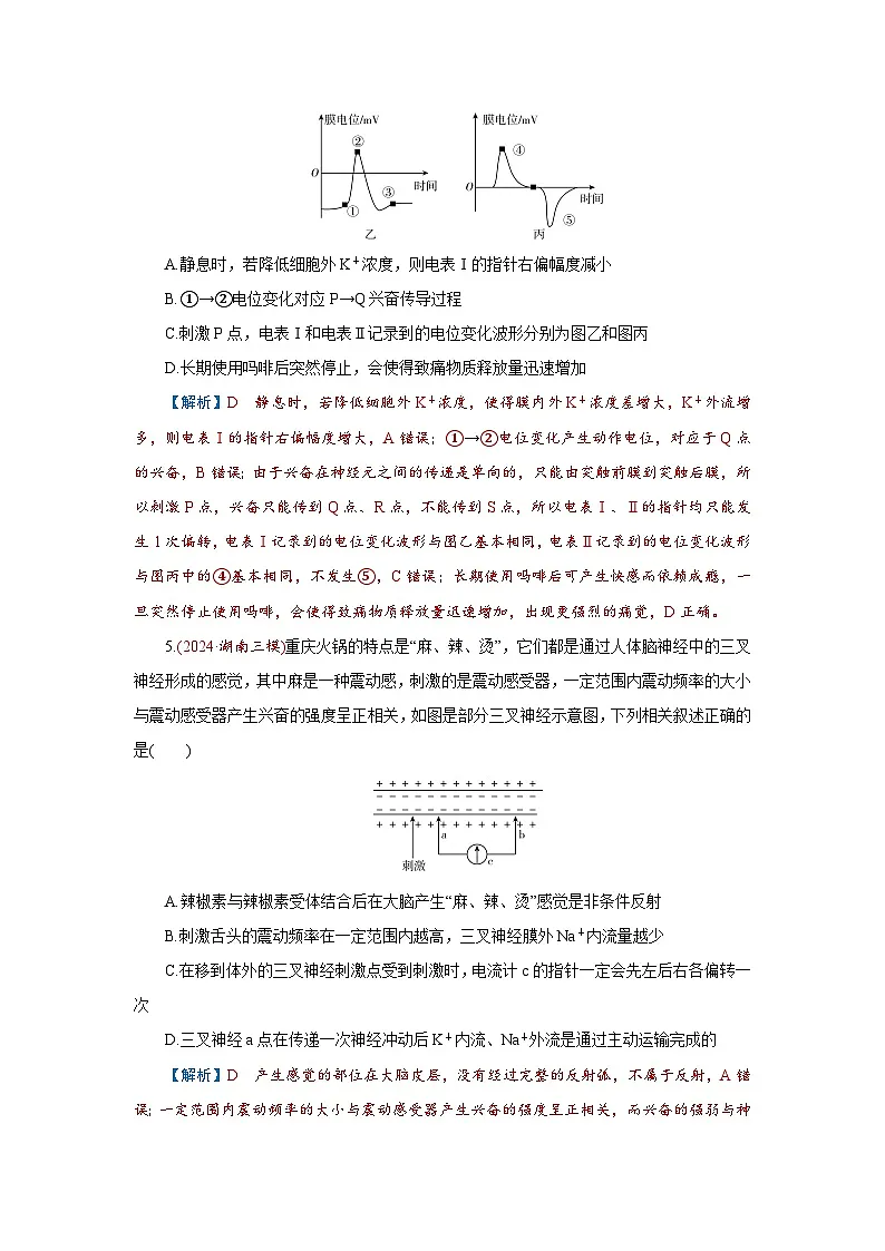 2026届高考生物学一轮专题复习练习:专题8 第3讲 神经调节(二)——神经冲动的产生和 习题及答案解析第3页