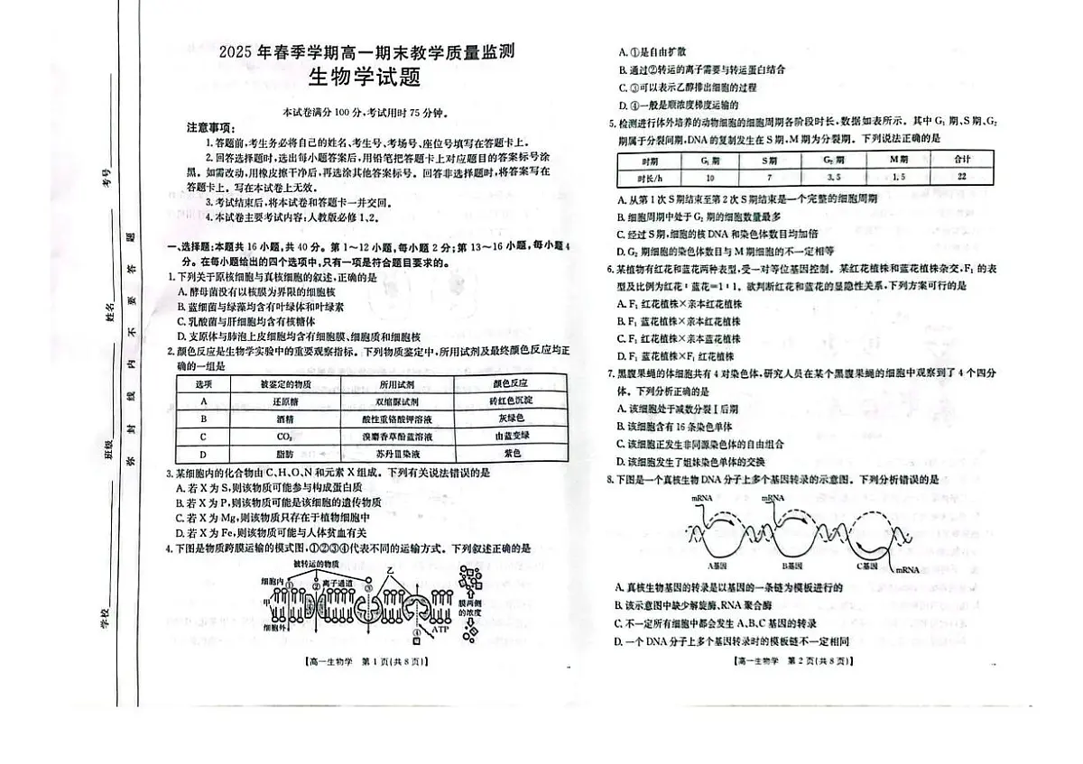 广西壮族自治区贺州市2024-2025学年高一下学期期末考试生物试卷(PDF版附答案)第1页
