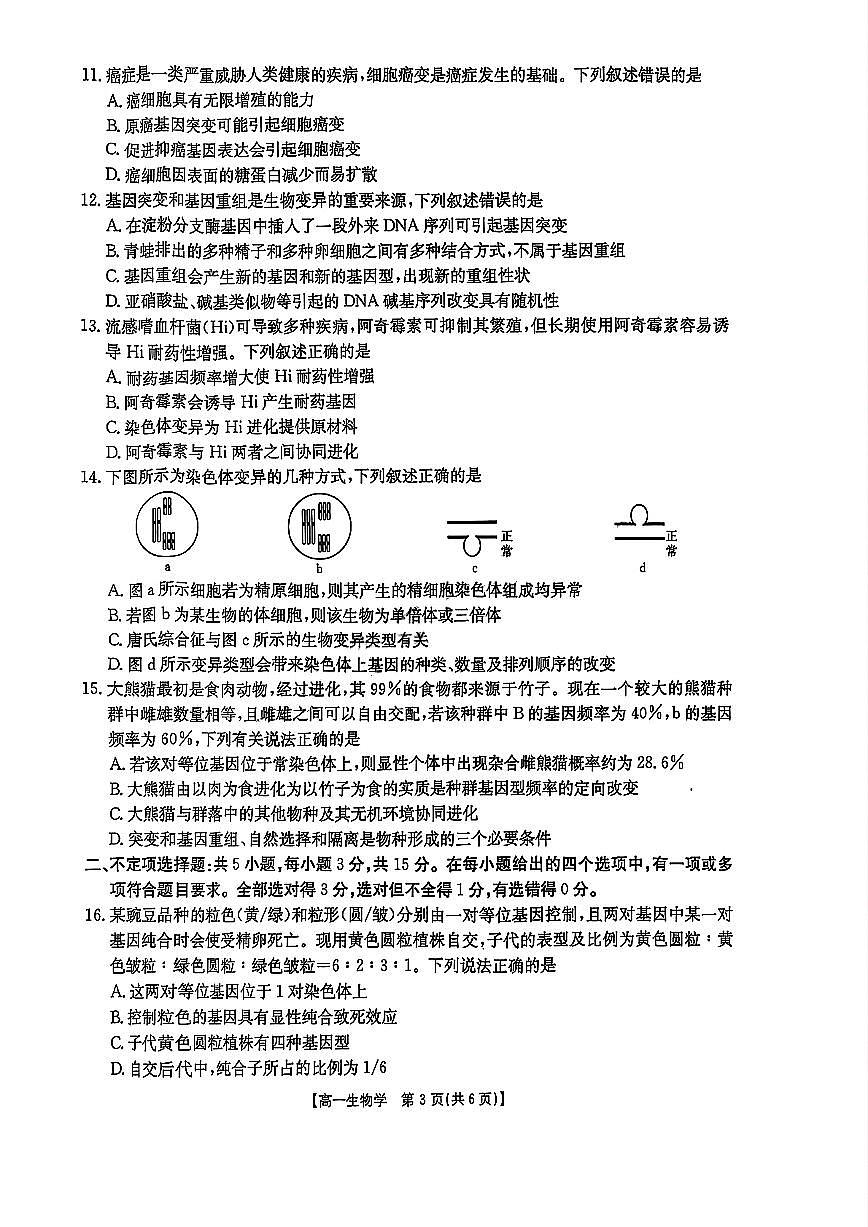 吉林省部分学校2024-2025学年高一下学期期末考试生物试卷(PDF版附答案)第3页