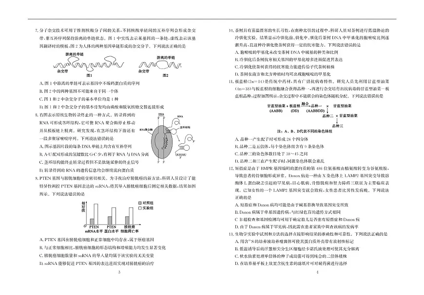 高一生物—试题第2页