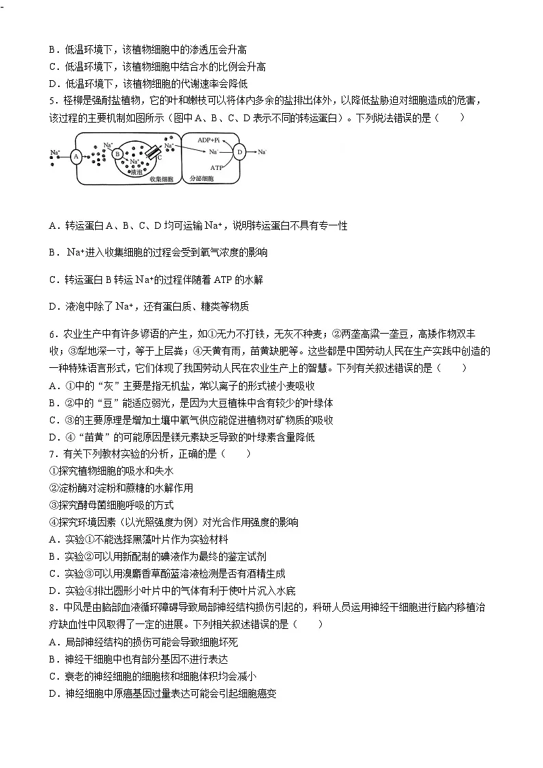 2025届河南省创新发展联盟高三下学期9月联考(二)-生物试题(含答案)第2页