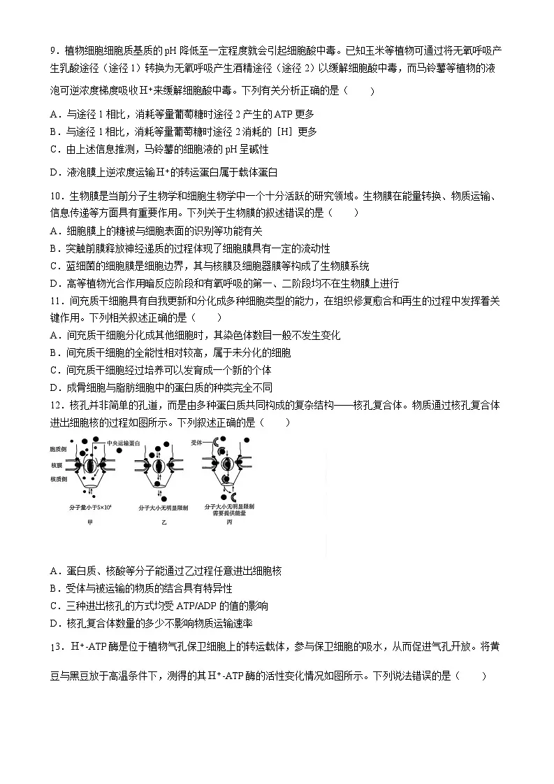 2025届河南省创新发展联盟高三下学期9月联考(二)-生物试题(含答案)第3页