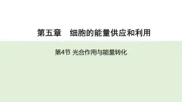 5.4光合作用與能量轉化  第二課時 課件-2025-2026學年上學期高一生物（人教版）必修1