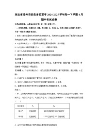 【生物】河北省沧州市四县多校联考2024-2025学年高一下学期4月期中考试试卷（解析版）
