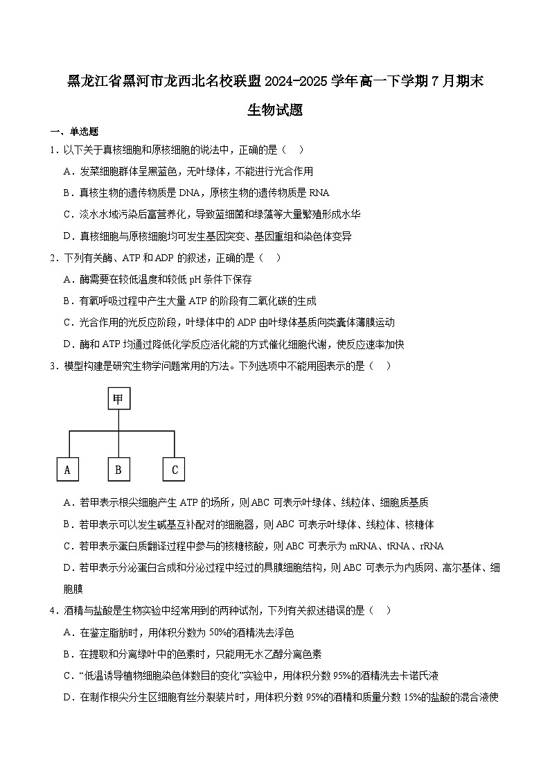 黑龙江省黑河市龙西北名校联盟2024-2025学年高一下学期7月期末考试生物试卷(含答案)第1页