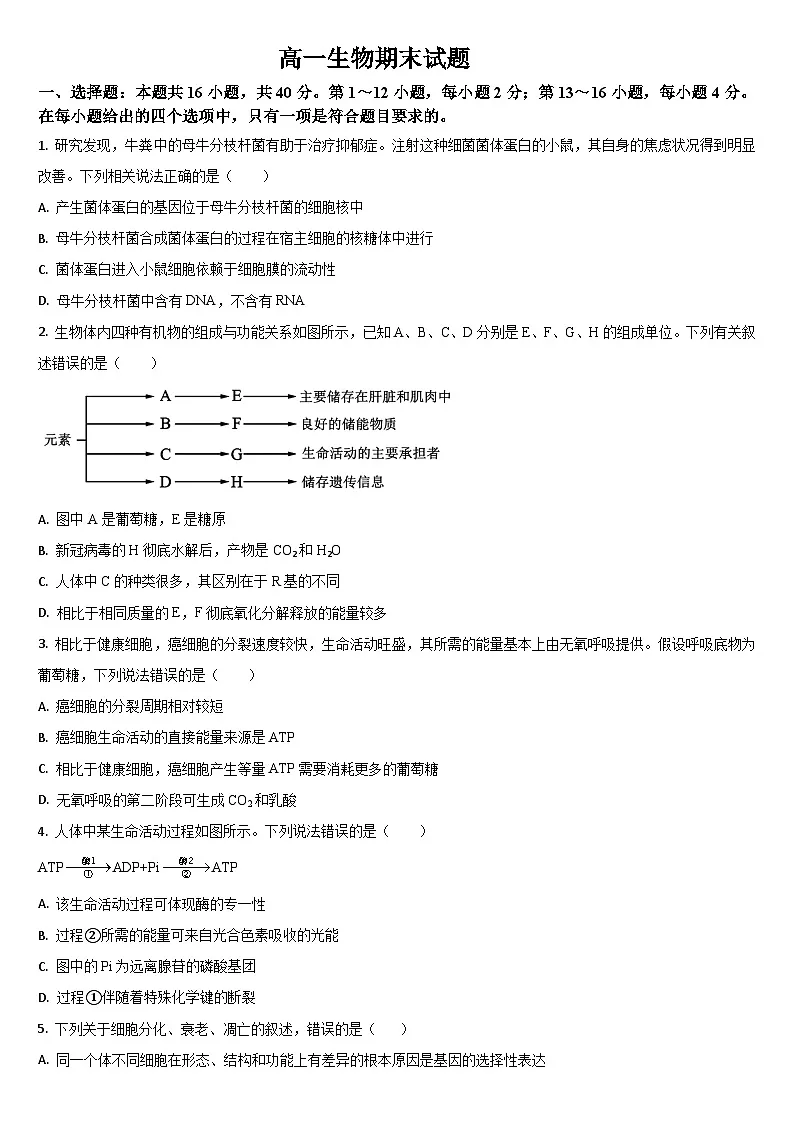 吉林省通化市梅河口市第五中学2024-2025学年高一下学期7月期末生物试题(含答案)第1页
