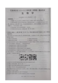 内蒙古自治区巴彦淖尔市2024-2025学年高一下学期期末考试生物试卷（图片版，有答案）含答案解析