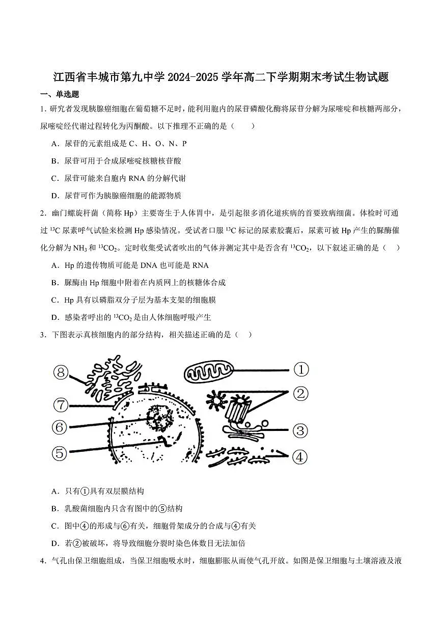 江西省宜春市丰城市第九中学2025届新高二下学期7月期末考-生物试题+答案第1页