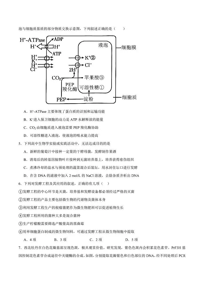 江西省宜春市丰城市第九中学2025届新高二下学期7月期末考-生物试题+答案第2页