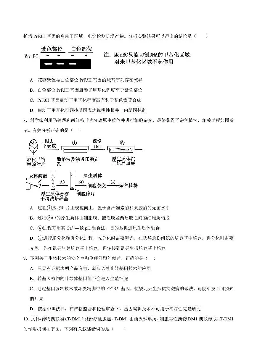 江西省宜春市丰城市第九中学2025届新高二下学期7月期末考-生物试题+答案第3页
