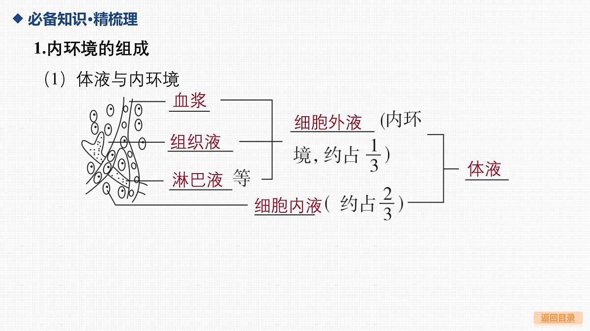 第22讲 人体的内环境与稳态第5页
