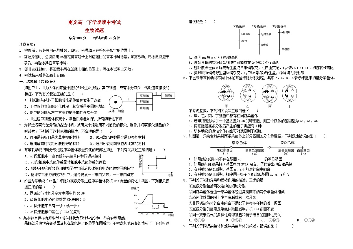 四川省南充市2024_2025学年高一生物下学期期中测试第1页