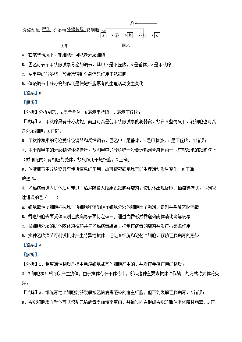 天津市河西区2024_2025学年高二生物上学期期末考试试题含解析第3页