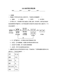 2025年高考重庆卷生物真题（无答案）