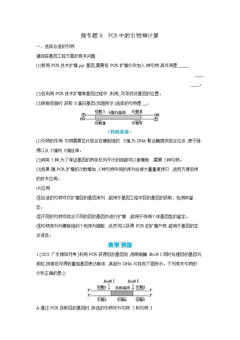 07 微专题9 PCR中的引物和计算 【正文】【听课手册】第1页