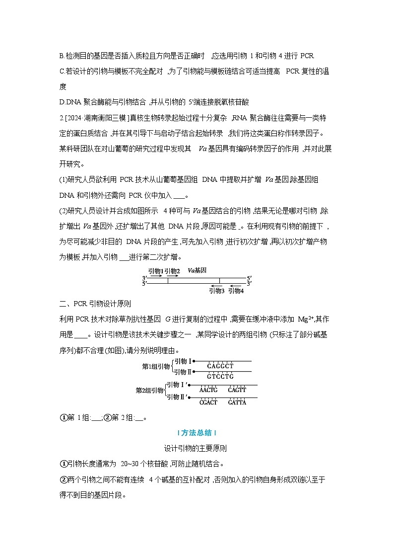 07 微专题9 PCR中的引物和计算 【正文】【听课手册】第2页