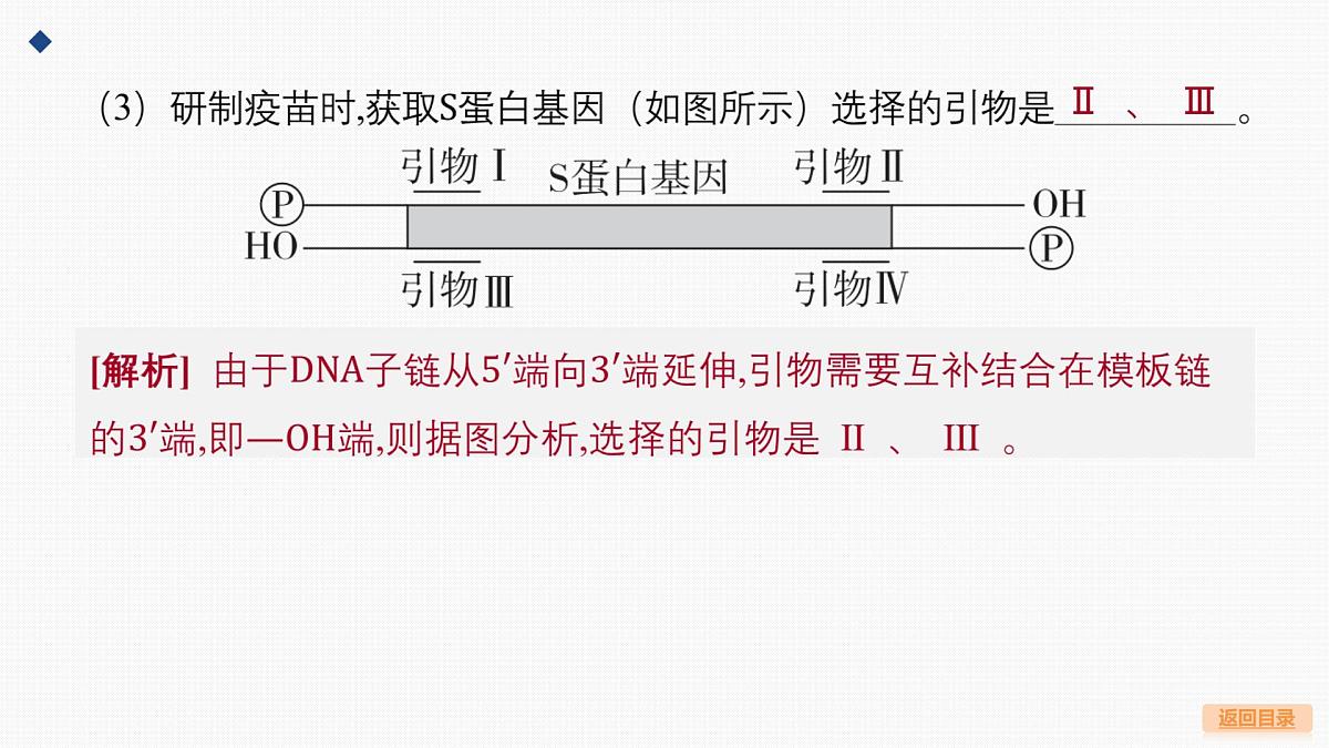07-微专题9 PCR中的引物和计算第4页