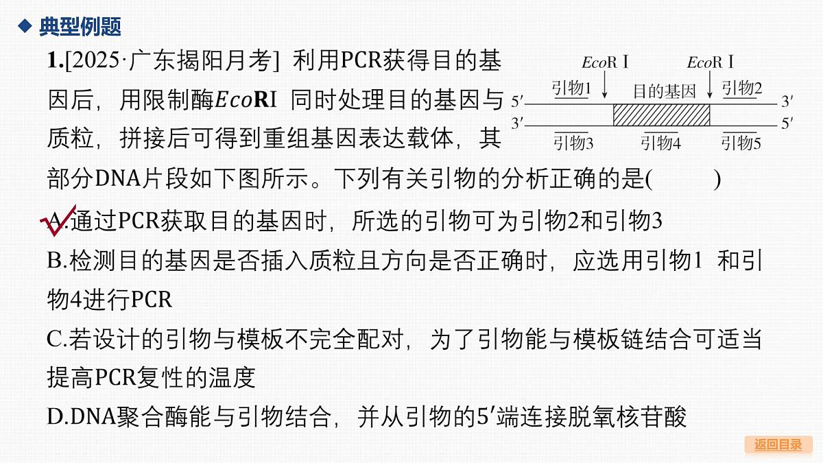 07-微专题9 PCR中的引物和计算第7页