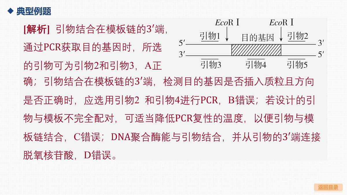 07-微专题9 PCR中的引物和计算第8页