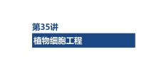 第35讲 植物细胞工程-2026年高考生物一轮复习课件(含练习、讲义及答案)
