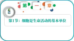 高中  生物  人教版 (2019)  必修1《分子與細胞》  第1章 走近細胞第1節(jié) 細胞是生命活動的基本單位 課件