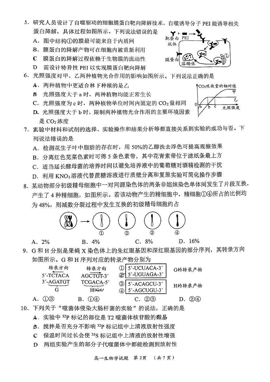 山东省日照市2024-2025学年高一下学期期末校际联考生物试卷(图片版)第2页