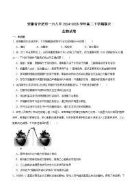 安徽省合肥市一六八中学2024-2025学年高二下学期期末考试生物试题（Word版附答案）