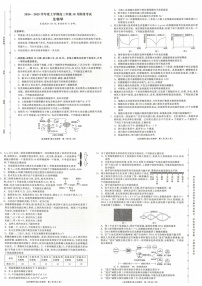 2025届辽宁省点石联考高三下学期10月阶段考试-生物试题（含答案）