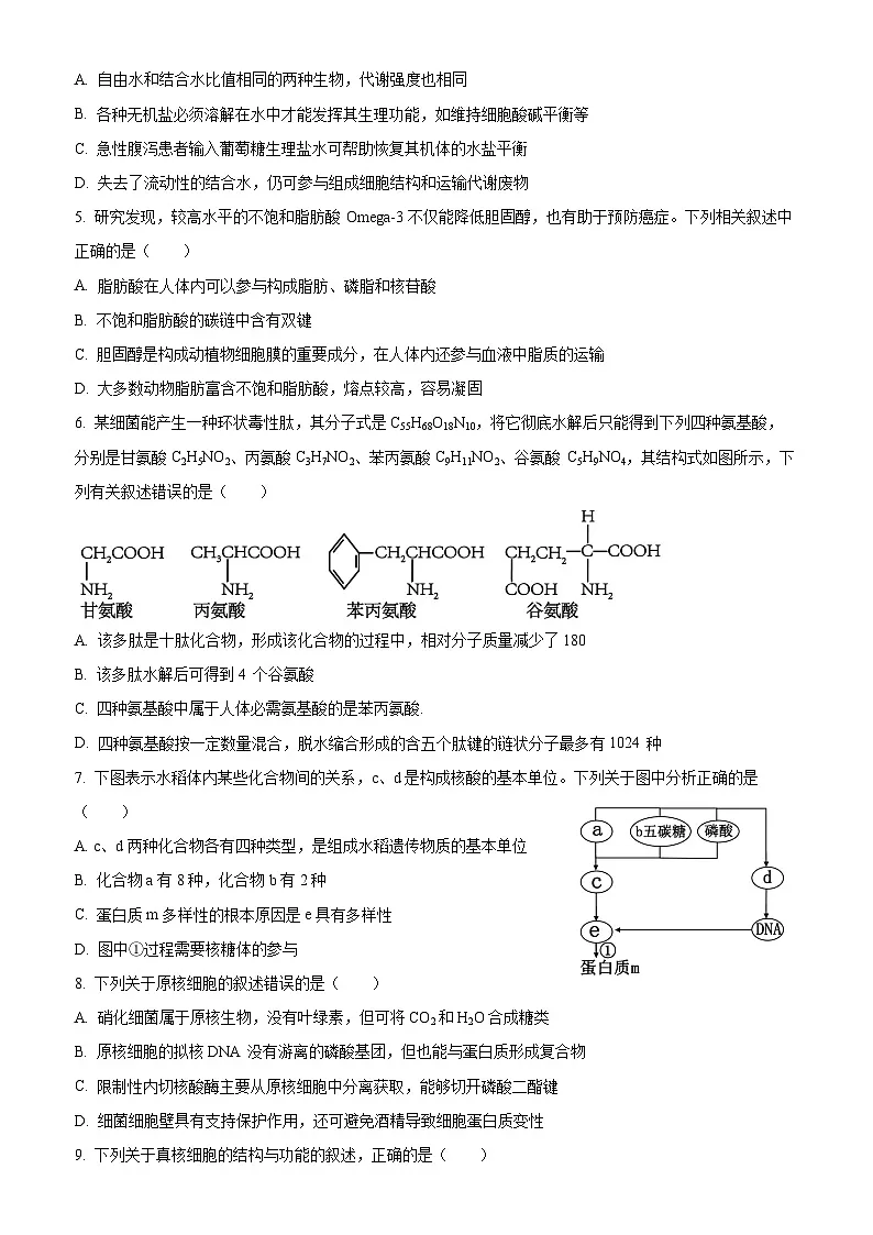吉林省长春市东北师范大学附属中学2024-2025学年高二下学期期末生物试题(含答案)第2页