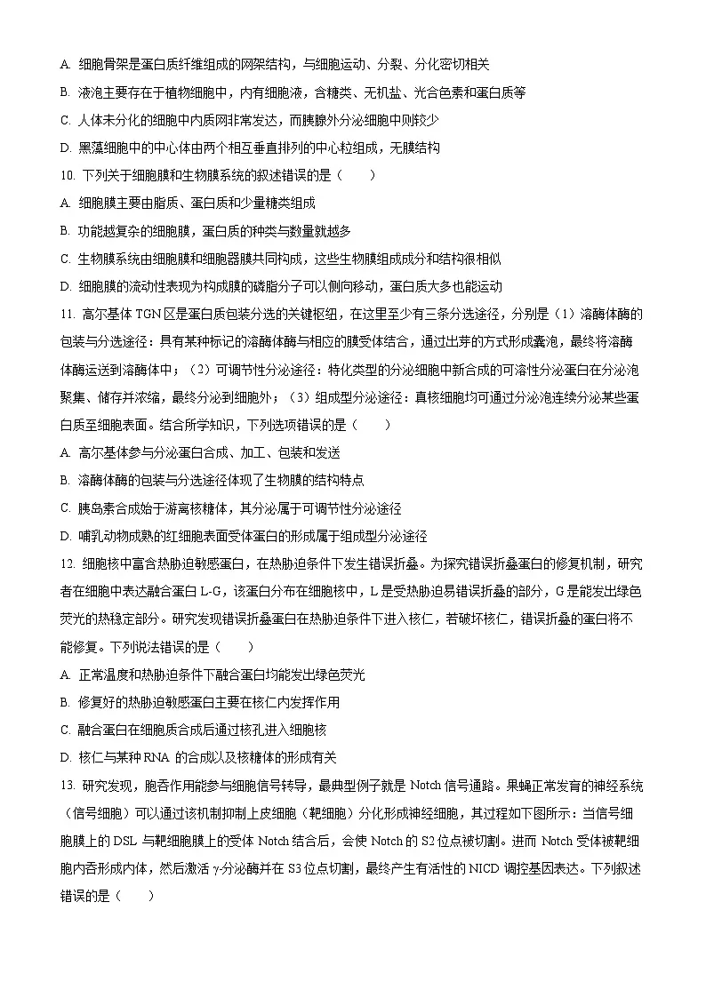 吉林省长春市东北师范大学附属中学2024-2025学年高二下学期期末生物试题(含答案)第3页