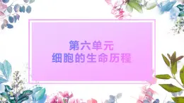 人教版2019 高中生物 必修1 第六章 6.1《細胞的增殖》課時1 (PPT+教案)
