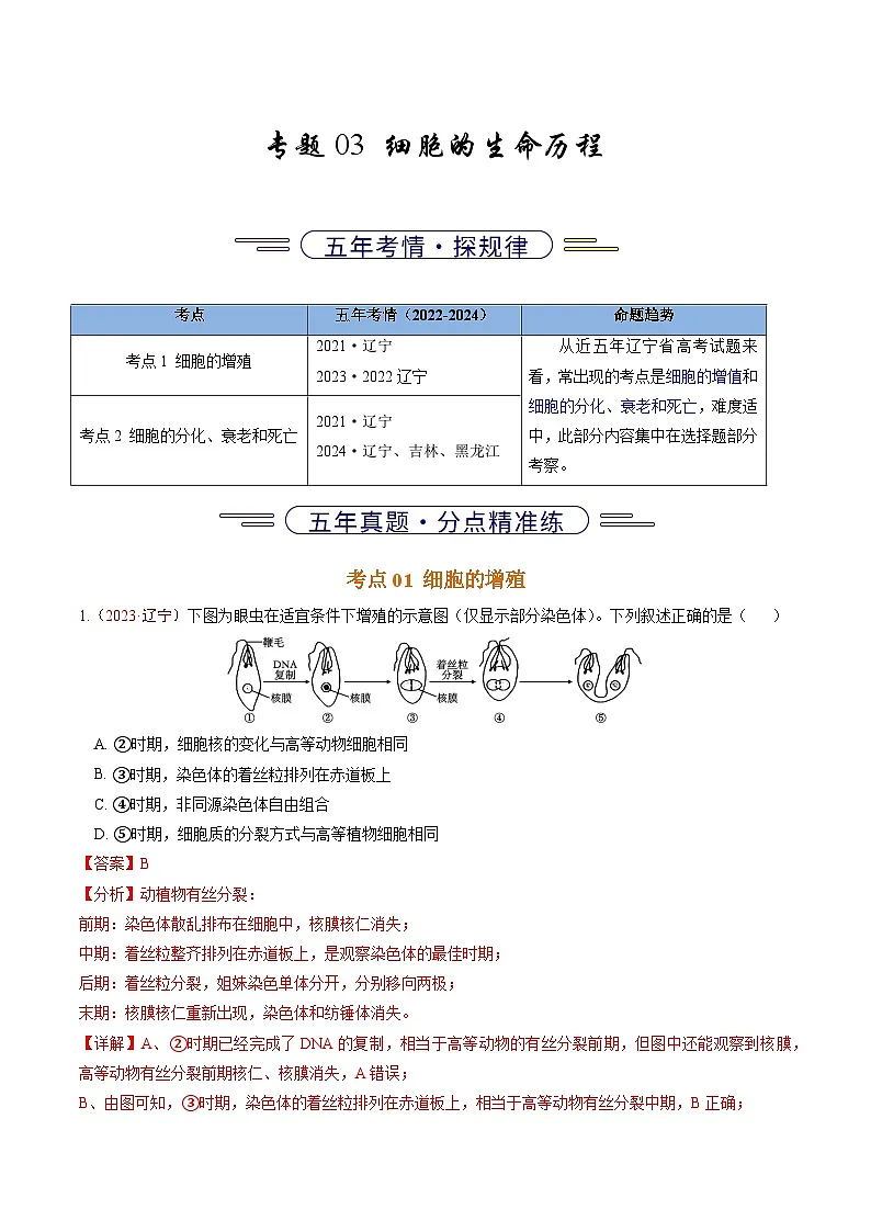 5年(2021-2025)高考1年模拟生物真题分类汇编专题03 细胞的生命历程(解析版)(黑吉辽蒙专用)第1页
