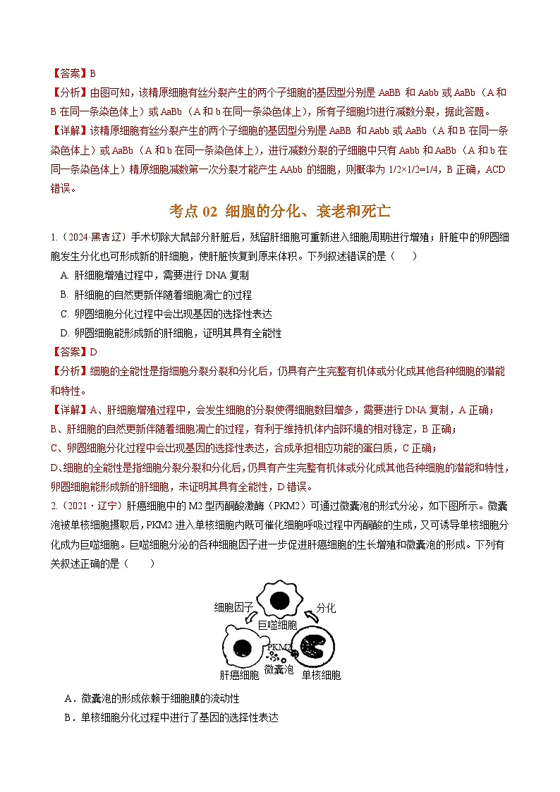 5年(2021-2025)高考1年模拟生物真题分类汇编专题03 细胞的生命历程(解析版)(黑吉辽蒙专用)第3页