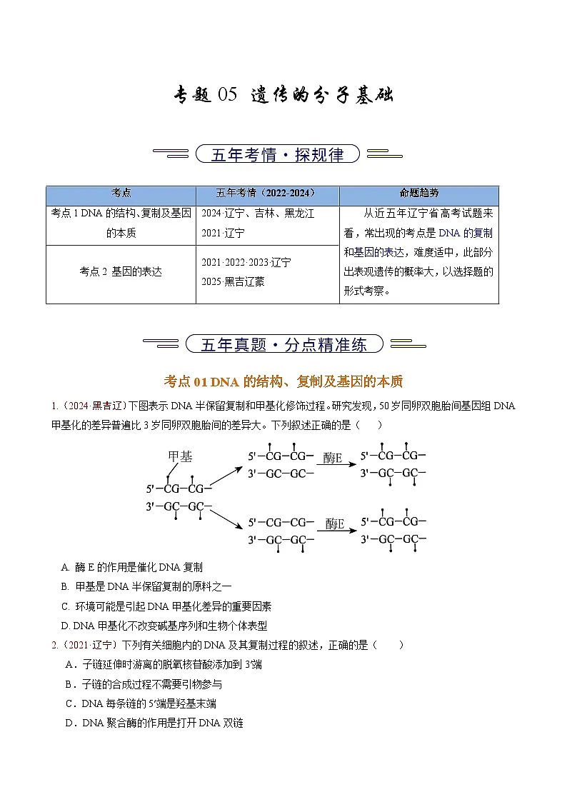 5年(2021-2025)高考1年模拟生物真题分类汇编专题05 遗传的分子基础(原卷版)(黑吉辽蒙专用)第1页