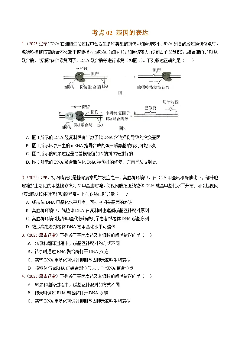 5年(2021-2025)高考1年模拟生物真题分类汇编专题05 遗传的分子基础(原卷版)(黑吉辽蒙专用)第2页