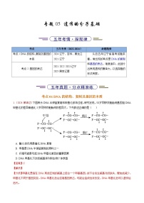 5年（2021-2025）高考1年模拟生物真题分类汇编专题05 遗传的分子基础（解析版）（黑吉辽蒙专用）
