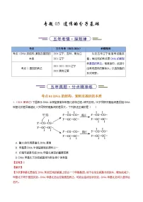 5年（2021-2025）高考1年模拟生物真题分类汇编专题05 遗传的分子基础（解析版）（黑吉辽蒙专用）