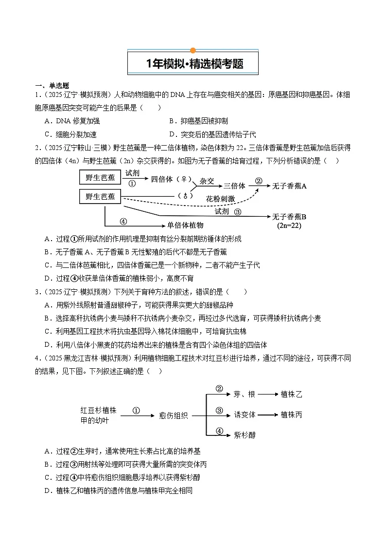 5年(2021-2025)高考1年模拟生物真题分类汇编专题06 生物的变异、育种与进化(原卷版)(黑吉辽蒙专用)第3页
