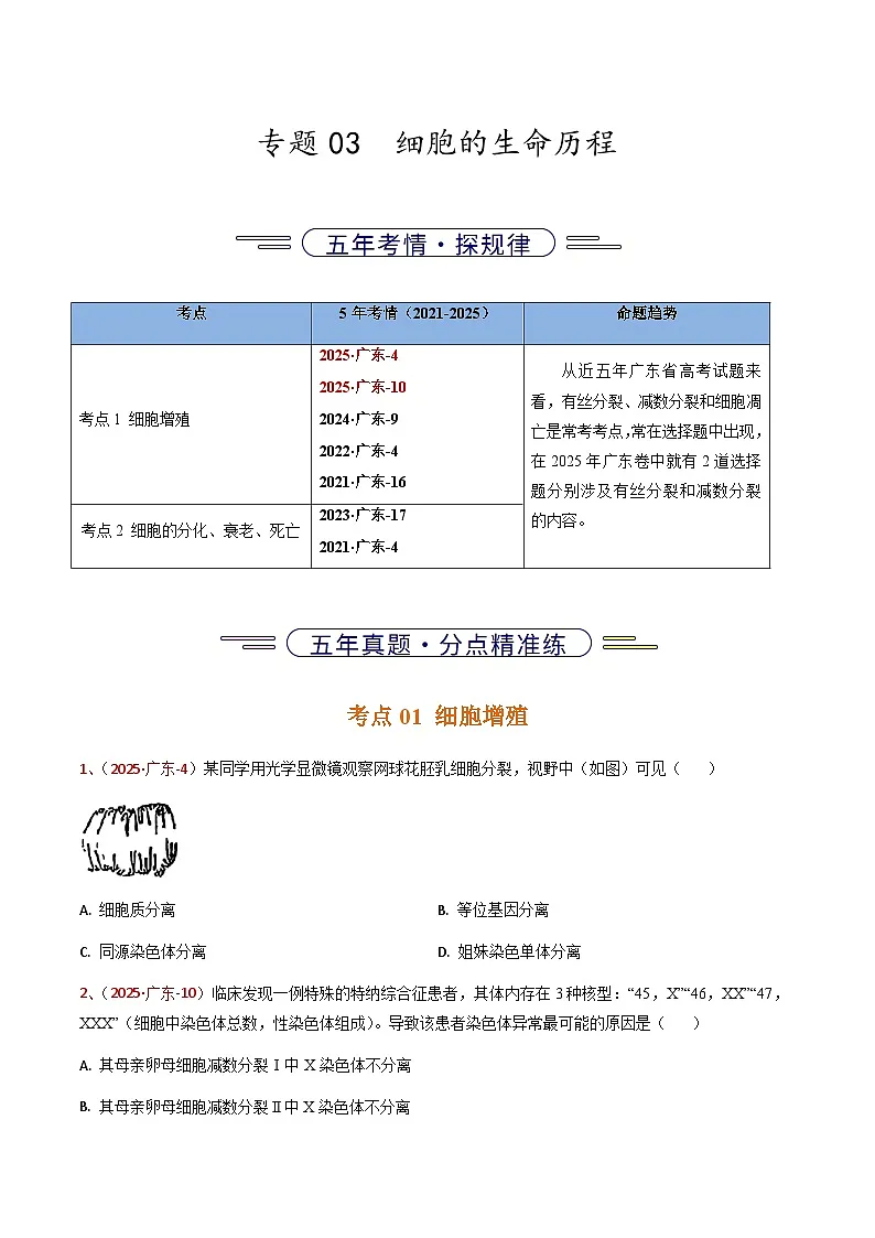 5年(2021-2025)高考1年模拟生物真题分类汇编专题03 细胞的生命历程(原卷版)(广东专用)第1页